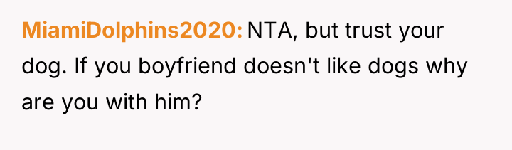 MiamiDolphins2020 NTA, but trust your dog. If you boyfriend doesn't...