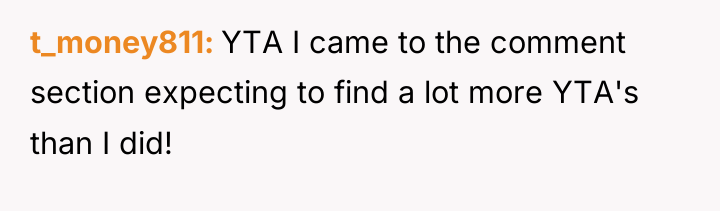 t_money811 YTA I came to the comment section expecting to...