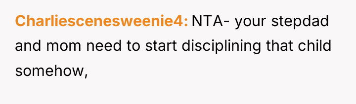 Charliescenesweenie4 NTA- your stepdad and mom need to start disciplining...