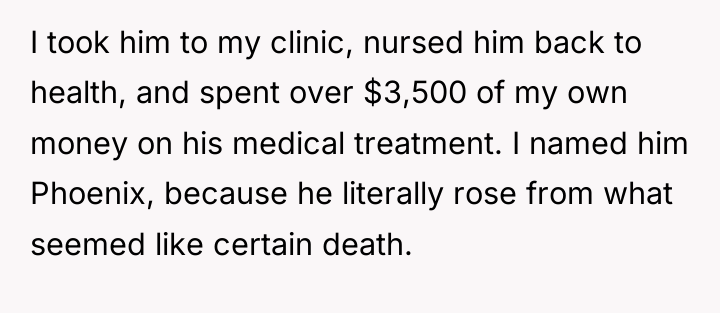 I took him to my clinic, nursed him back to...