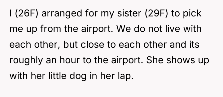 I (26F) arranged for my sister (29F) to pick me...