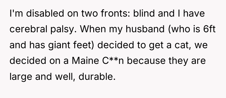 I'm disabled on two fronts: blind and I have cerebral...