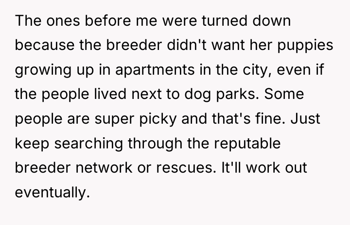 The ones before me were turned down because the breeder...