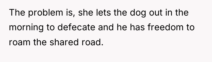 The problem is, she lets the dog out in the...