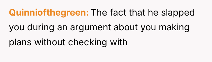 Quinniofthegreen The fact that he slapped you during an argument...