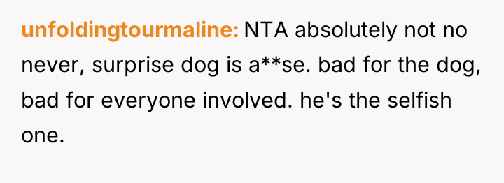 unfoldingtourmaline NTA absolutely not no never, surprise dog is a**se....