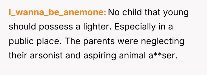 I_wanna_be_anemone No child that young should possess a lighter. Especially...
