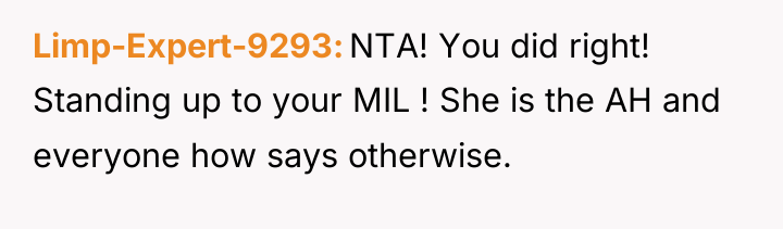 Limp-Expert-9293 NTA! You did right! Standing up to your MIL...