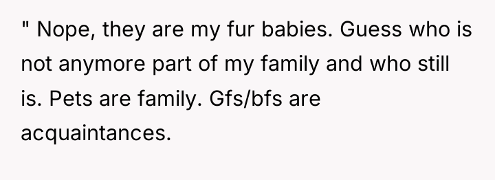 " Nope, they are my fur babies. Guess who is...