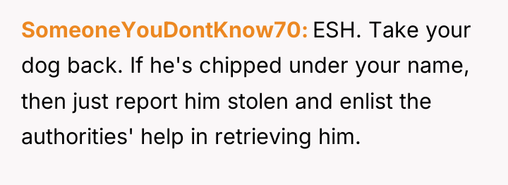SomeoneYouDontKnow70 ESH. Take your dog back. If he's chipped under...