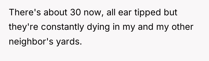 There's about 30 now, all ear tipped but they're constantly...