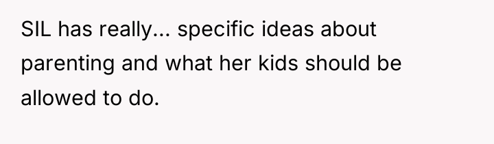 SIL has really... specific ideas about parenting and what her...