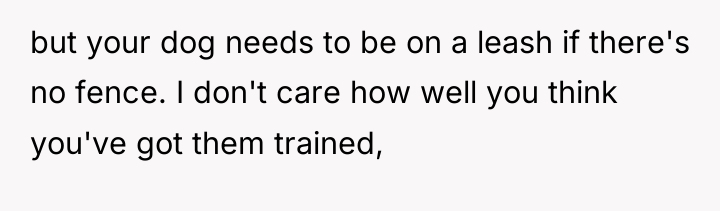 but your dog needs to be on a leash if...