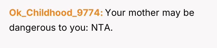 Ok_Childhood_9774 Your mother may be dangerous to you: NTA.