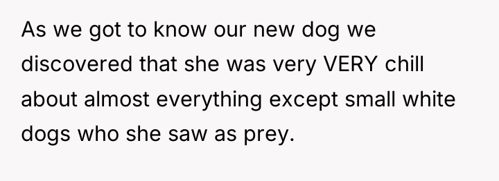 As we got to know our new dog we discovered...