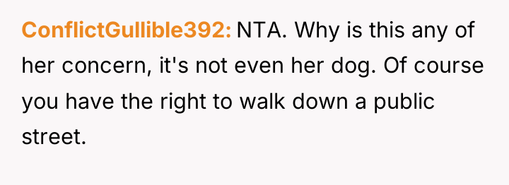 ConflictGullible392 NTA. Why is this any of her concern, it's...