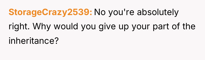 StorageCrazy2539 No you're absolutely right. Why would you give up...