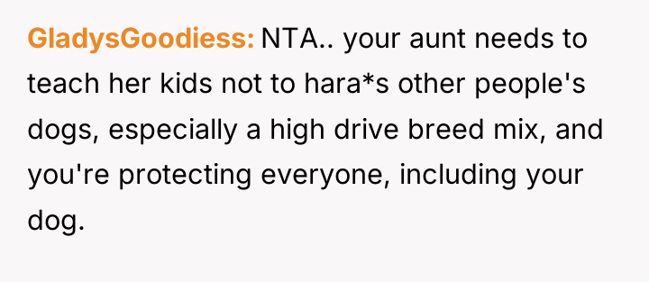 GladysGoodiess NTA.. your aunt needs to teach her kids not...