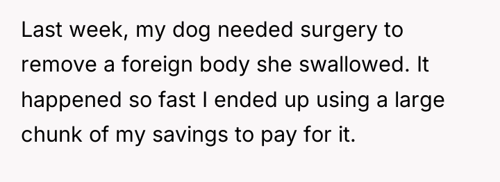 Last week, my dog needed surgery to remove a foreign...