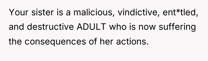 Your sister is a malicious, vindictive, ent*tled, and destructive ADULT...