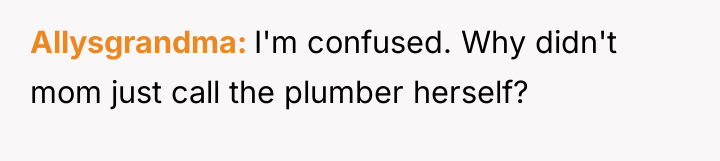 Allysgrandma I'm confused. Why didn't mom just call the plumber...