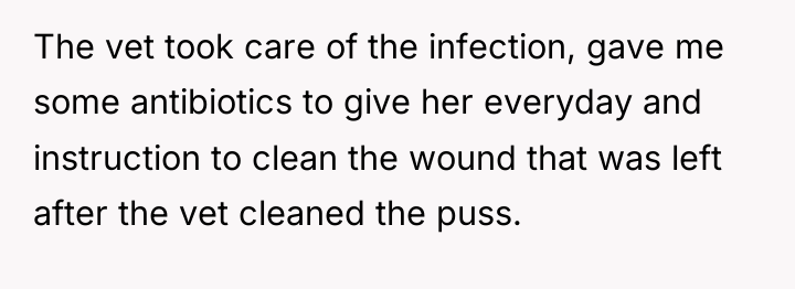 The vet took care of the infection, gave me some...