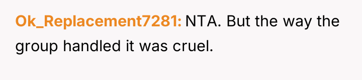 Ok_Replacement7281 NTA. But the way the group handled it was...