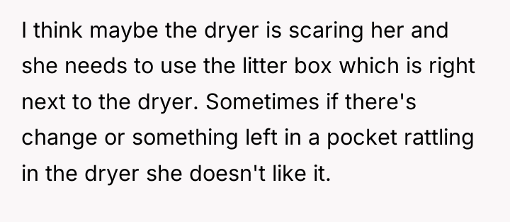 I think maybe the dryer is scaring her and she...