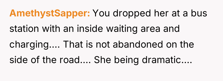 AmethystSapper You dropped her at a bus station with an...