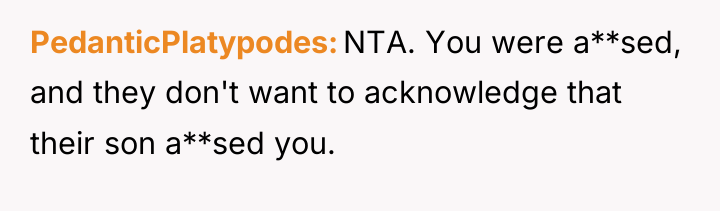 PedanticPlatypodes NTA. You were a**sed, and they don't want to...