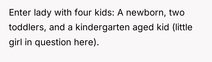Enter lady with four kids: A newborn, two toddlers, and...