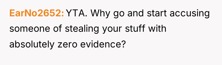 EarNo2652 YTA. Why go and start accusing someone of stealing...