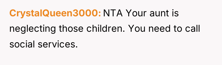 CrystalQueen3000 NTA Your aunt is neglecting those children. You need...