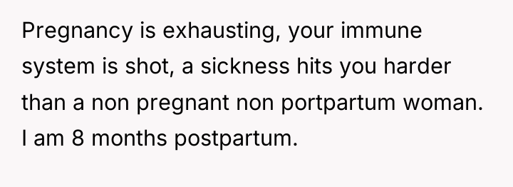 Pregnancy is exhausting, your immune system is shot, a sickness...