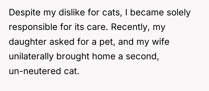 Despite my dislike for cats, I became solely responsible for...