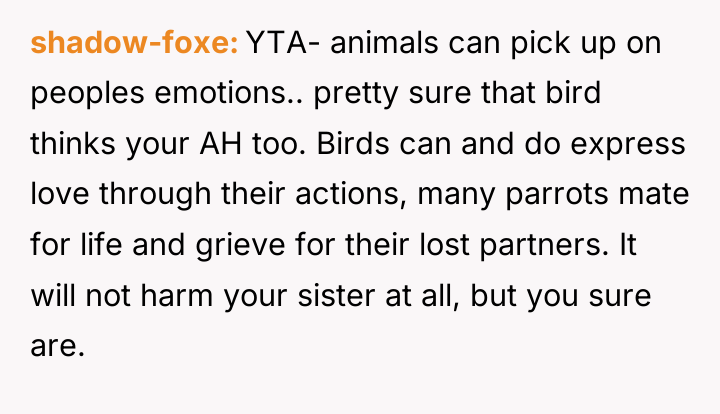 shadow-foxe YTA- animals can pick up on peoples emotions.. pretty...