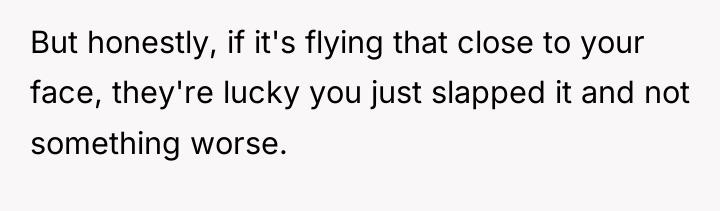 But honestly, if it's flying that close to your face,...