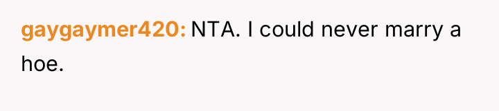 gaygaymer420 NTA. I could never marry a hoe.