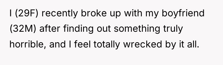 I (29F) recently broke up with my boyfriend (32M) after...