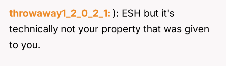 throwaway1_2_0_2_1 ): ESH but it's technically not your property that...