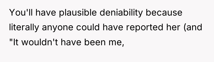 You'll have plausible deniability because literally anyone could have reported...