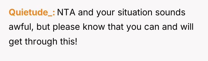 Quietude_ NTA and your situation sounds awful, but please know...