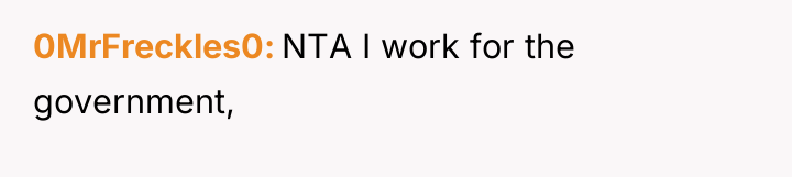 0MrFreckles0 NTA I work for the government,