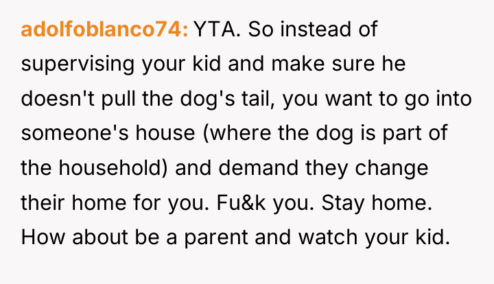 adolfoblanco74 YTA. So instead of supervising your kid and make...
