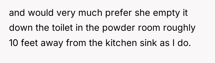 and would very much prefer she empty it down the...