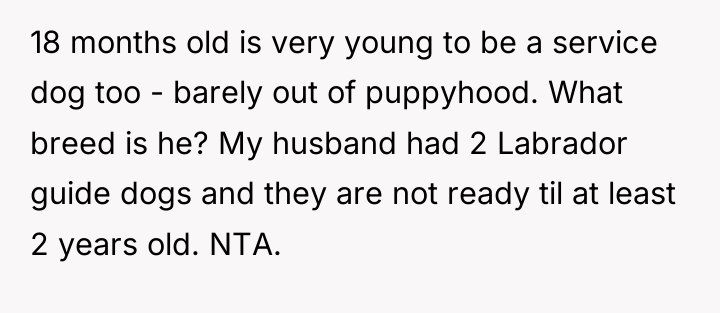 18 months old is very young to be a service...