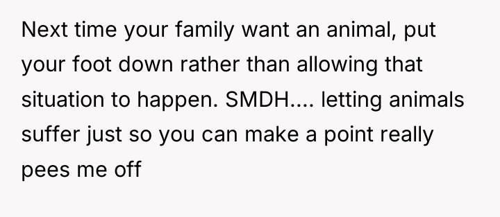 Next time your family want an animal, put your foot...