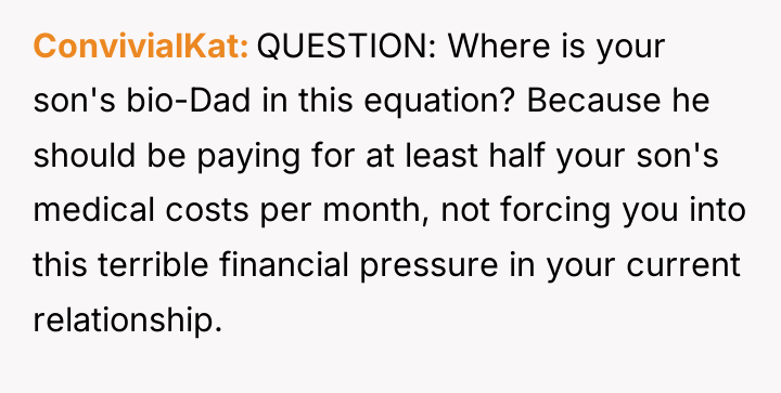 ConvivialKat QUESTION: Where is your son's bio-Dad in this equation?...