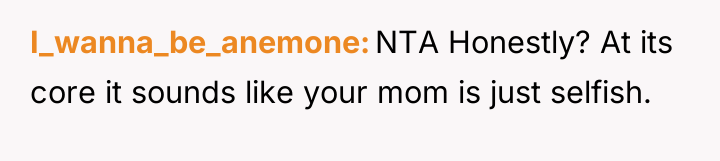 I_wanna_be_anemone NTA Honestly? At its core it sounds like your...