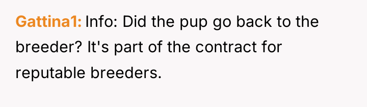 Gattina1 Info: Did the pup go back to the breeder?...